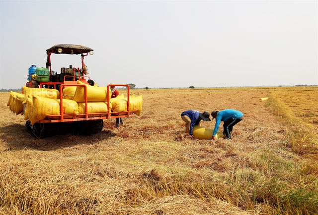 Eight rice enterprises awarded for emissions reduction